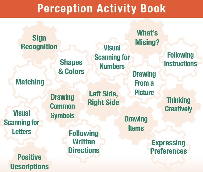 Perception Activity Book